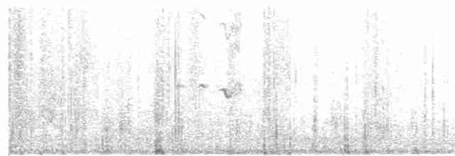 Long-tailed Meadowlark - ML278330631
