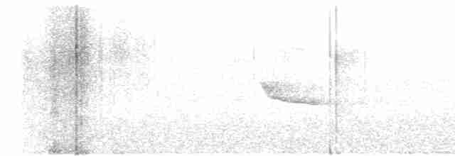 Black-throated Green Warbler - ML27837251