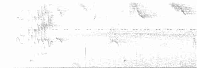 Белокрылый бекард - ML278415361