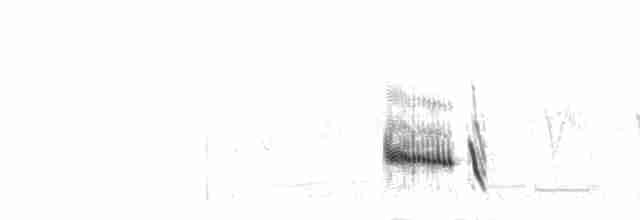 Фірлюк лучний (підвид apiata) - ML278464