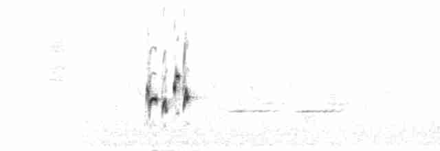 Cape Clapper Lark (Cape) - ML278465