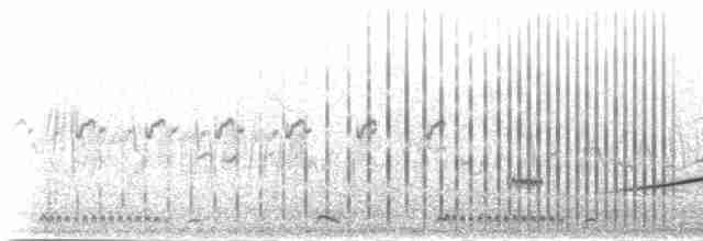 Фірлюк лучний (підвид apiata) - ML278494