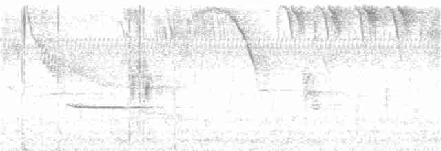 White-tailed Trogon - ML278524241