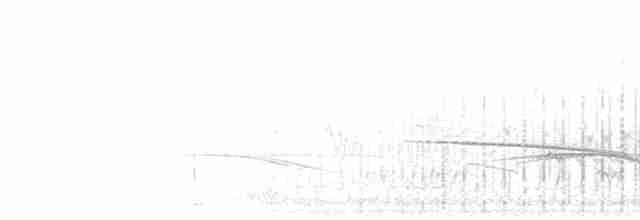 Травяной жаворонок (marjoriae) - ML278576