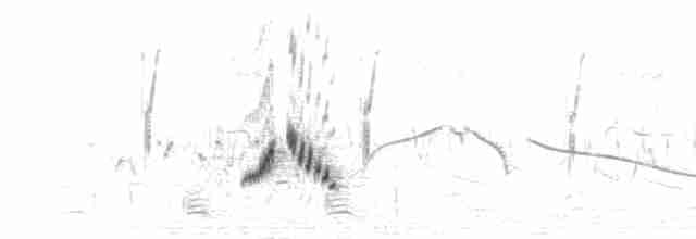 Травяной жаворонок (marjoriae) - ML278578