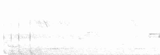 Malabar Gray Hornbill - ML278876011