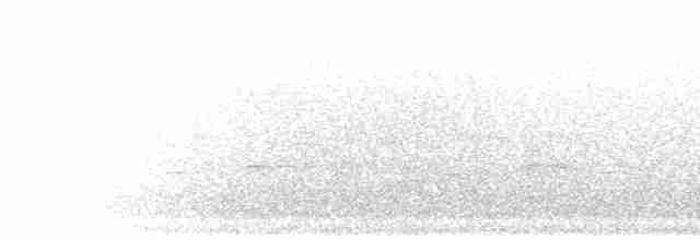 Торо східний (підвид alfredi) - ML278881