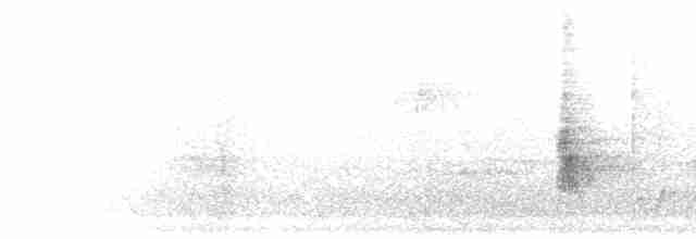 Торо східний (підвид alfredi) - ML278882