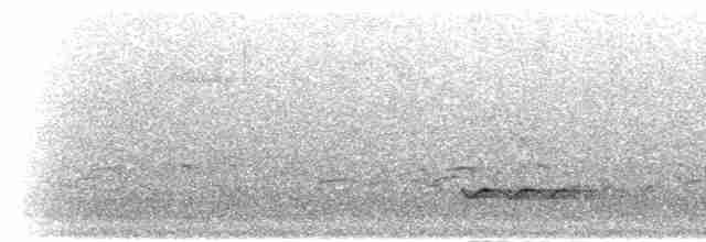 Чёрный бубу (fuelleborni) - ML278887