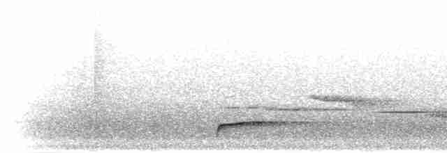Füllebornwürger (fuelleborni) - ML278888