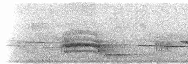 Гонолек східний (підвид fuelleborni) - ML278912