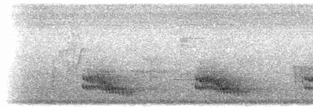 Чёрный бубу (fuelleborni) - ML278913