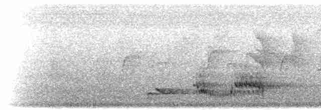 Гонолек східний (підвид fuelleborni) - ML278915