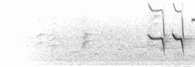 Gözlüklü Drongo Sinekkapanı - ML278924