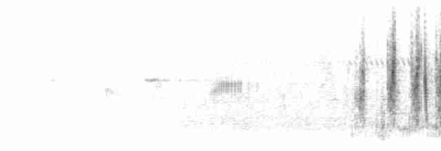 Churring Cisticola - ML278934