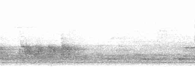 Trogon à queue barrée - ML278952