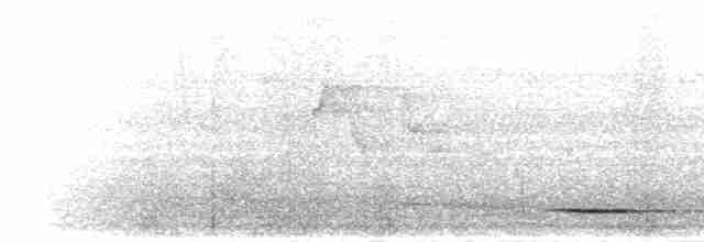 svartpannebuskvarsler - ML278953