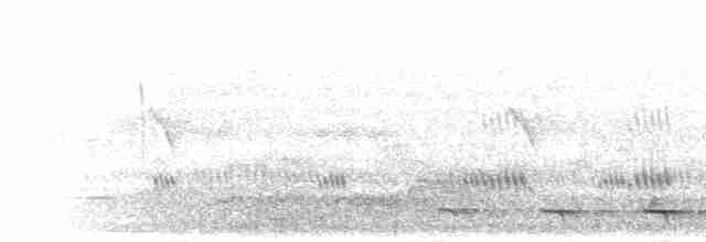 Полосатохвостый трогон - ML278958