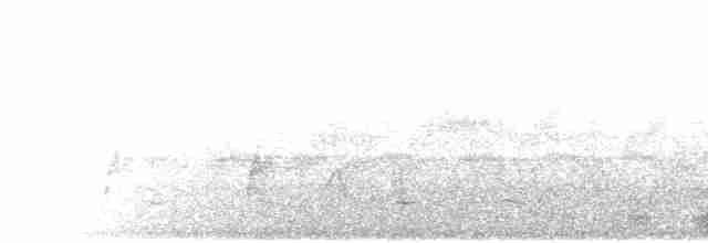 Turaco de Schalow - ML278968