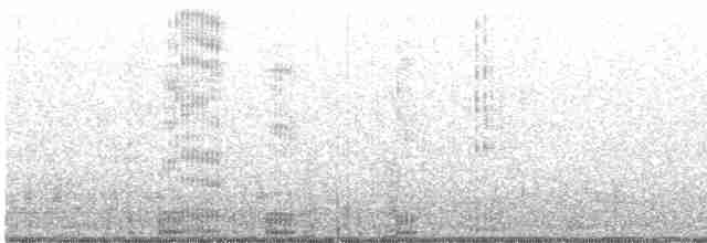 Neotropic Cormorant - ML278970381