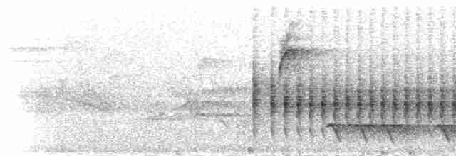 Гонолек східний (підвид fuelleborni) - ML278977