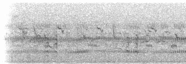 Weißbrauen-Uferschwalbe - ML279009