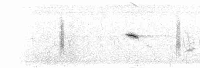 Африканский черноголовый чекан - ML279028