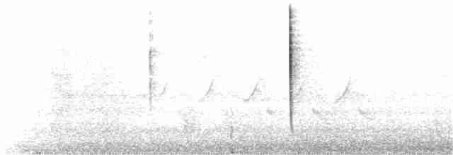 Юнко сірий (підвид hyemalis/carolinensis) - ML279124851