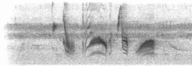 Синиця рудочерева (підвид rufiventris/masukuensis) - ML279146
