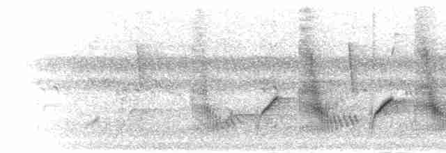 Синиця рудочерева (підвид rufiventris/masukuensis) - ML279150