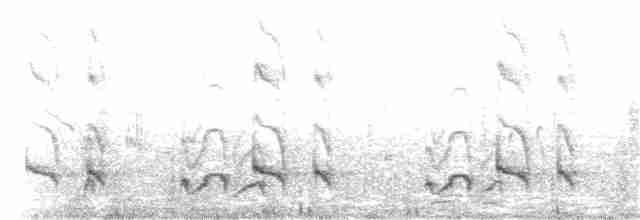 Пестроголовая чубатка - ML279154691