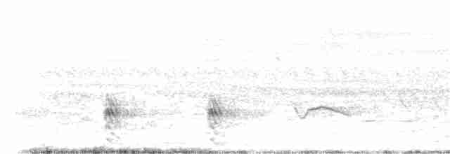 Spot-flanked Barbet - ML279155051