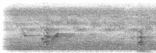 Гигантский зимородок - ML279248