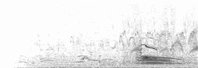 Plongeon arctique - ML279261891