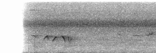 Gray-bellied Tesia - ML279312551