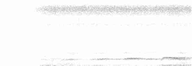 Kestane Sırtlı Serçe Baykuşu - ML279367991