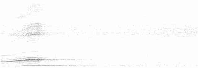 Pasifik Koeli (cyanocephalus/subcyanocephalus) - ML279376791