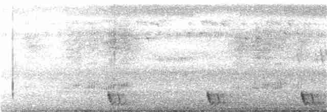 Large-tailed Nightjar - ML279385761