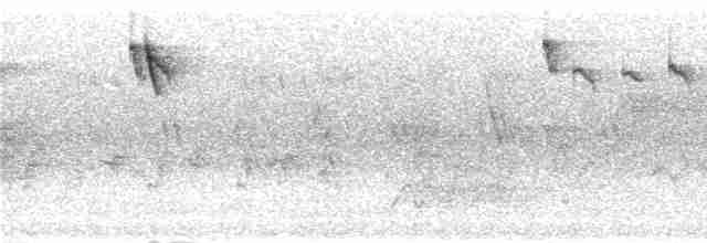 Крошечный зимородок - ML279474