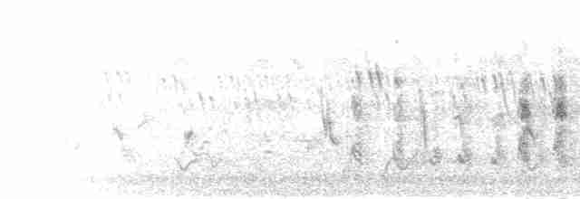 Sudandrosselhäherling - ML279514
