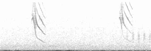 Серый нектаролюб - ML279529801