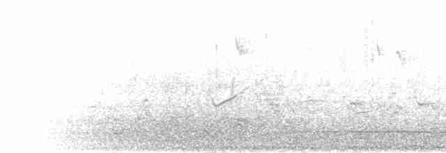 Lesser Striped Swallow - ML279574