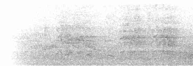 Светлобрюхий зимородок - ML279580