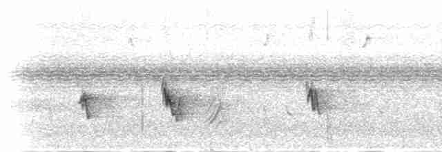 Горобець білобровий - ML279596