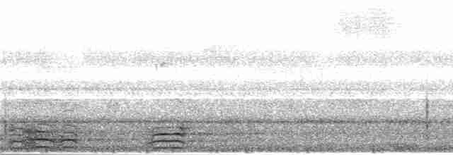 Пятнистогрудый ибис - ML279651