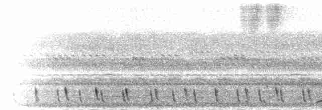 Дрімлюга болотяний - ML279653