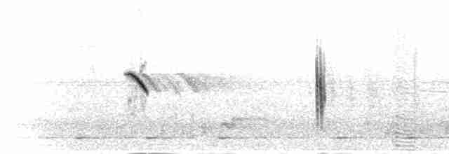 Африканский черноголовый чекан - ML279688