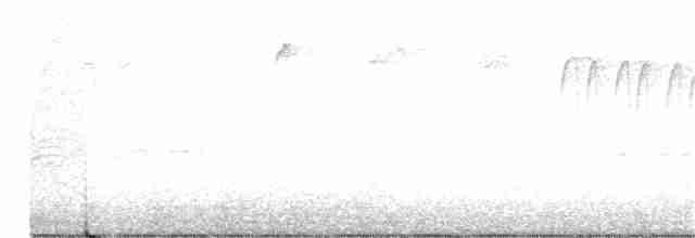 Black-capped Chickadee - ML279720291