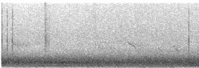 Evening Grosbeak (type 1) - ML279728721