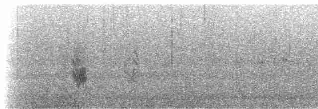 Hirondelle à croupion gris - ML279816
